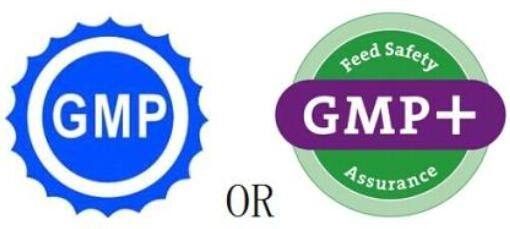知识分享|GMP与cGMP比较